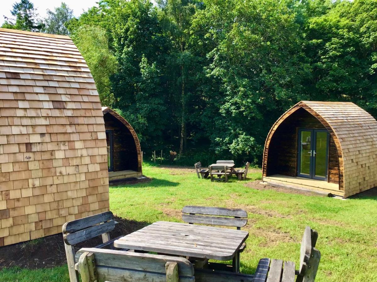 מלון Ingleby Greenhow Alder Pod, Clay Bank Huts מראה חיצוני תמונה